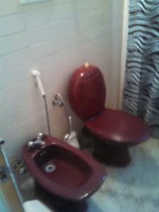Each bedroom has its own bathroom, usually attached. Yes, those fixtures are purple. I'll just have to live with that.