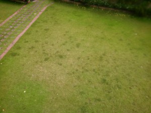 The green space downstairs, outside for kids to play soccer and run around.